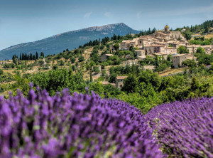 Immobilier en Provence-Alpes-Côte d'Azur : une forte demande qui maintient les prix et les loyers à la hausse